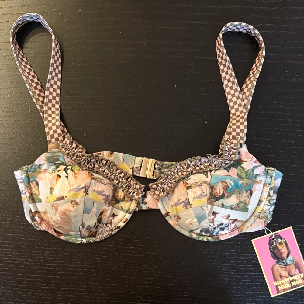 Strawberry Milk Mob Bikini Top NWT